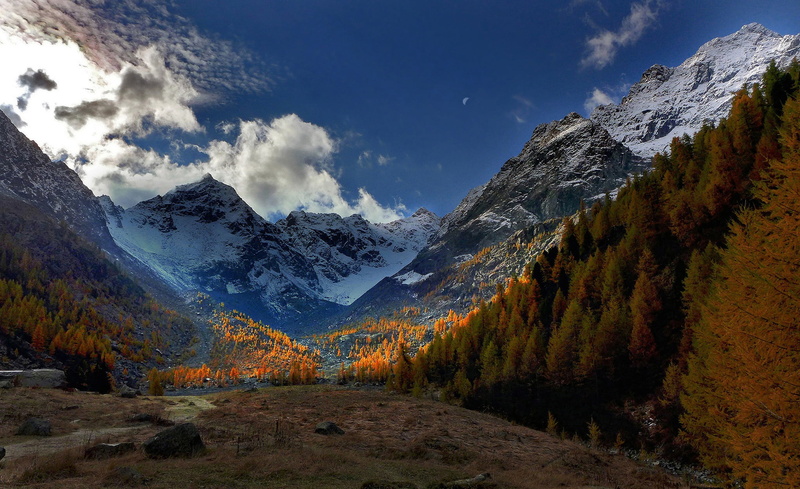 autumn, Italy, mountains, Chiesa in Valmalenco, Alps, 1080P, Lombardy, valley, trees