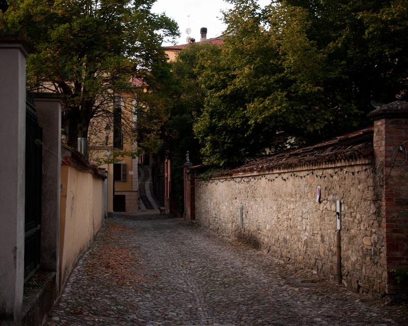 architecture, day, the way forward, street, city, building, direction, outdoors, places, residential district, plant, diminishing perspective, alley, 1080P