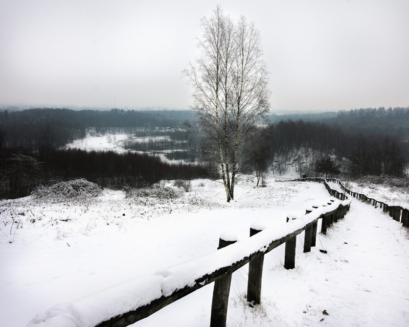 day, banister, beauty in nature, snow, scenics - nature, 4K, railing, no people, building, tree, plant, bare tree, handrail, boundary, spoke, field, winter