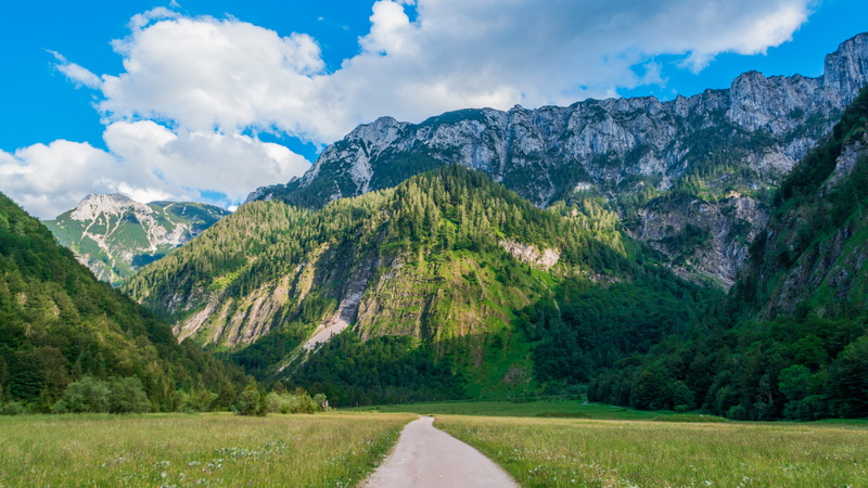 european Alps, rock - Object, forest, mountain Range, dirt road, outdoor, grass, europe, hills, beauty In Nature, summer, track, travel, rolling, no People