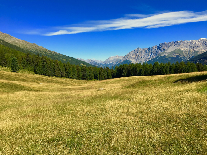 4K, landscape, nature, woodland, summer, mountain Peak, outdoors, meadow, coniferous tree, sky, no people, grass, forest, hiking, plain, italy, plant