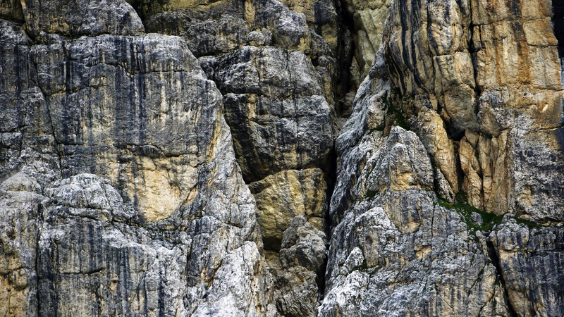 rock, texture, italy, cliff, flora, tree trunk, vegetation, rock - object, rough, birch, non-urban scene, low angle view, eroded, tree, backgrounds, close-up