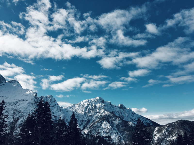 no people, beauty in nature, nature, winter, rifugio luigi zacchi, peak, fir, landscape, non-urban scene, mountainside, outdoors, weather, plant, environment