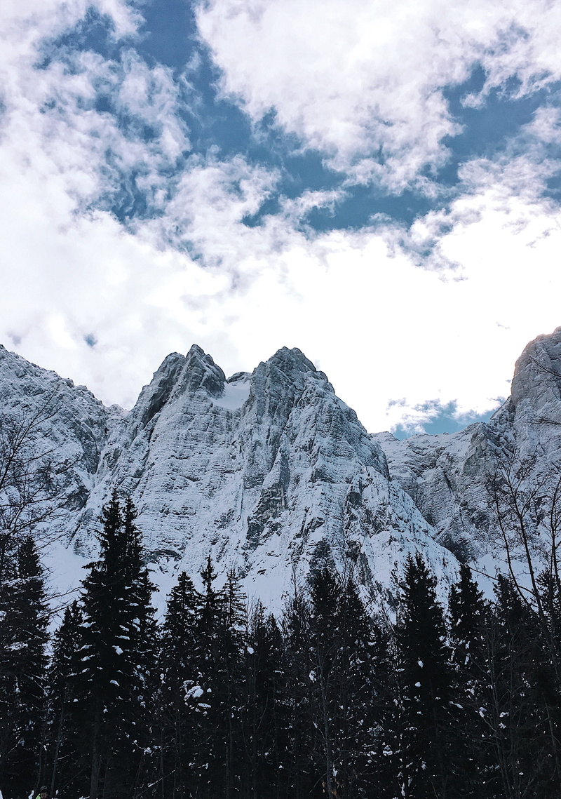 mountain, glacier, landscape, scenery, pine, tranquility, snowcapped mountain, 4K, tranquil scene, no people, scenics - nature, non-urban scene, peak