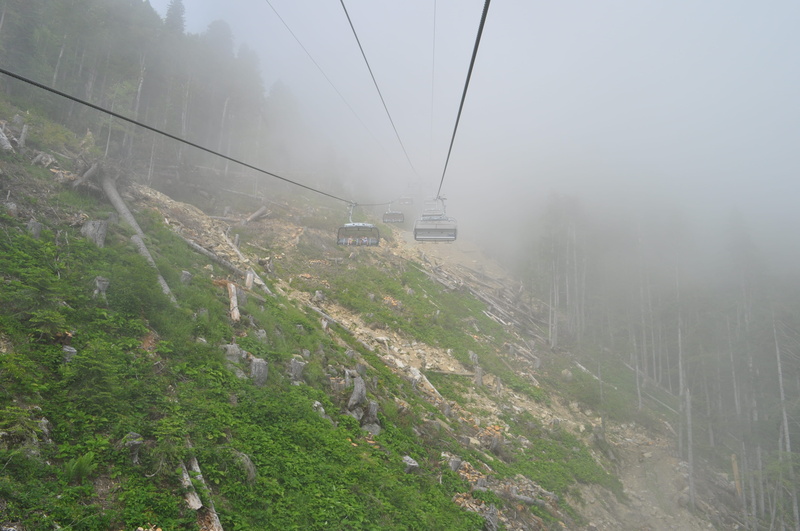 land, cable car, day, rosa khutor (krasnaya polyana) railway station, roza khutor, estosadok, electricity, plant, cable, fog, mountains, trees, green color