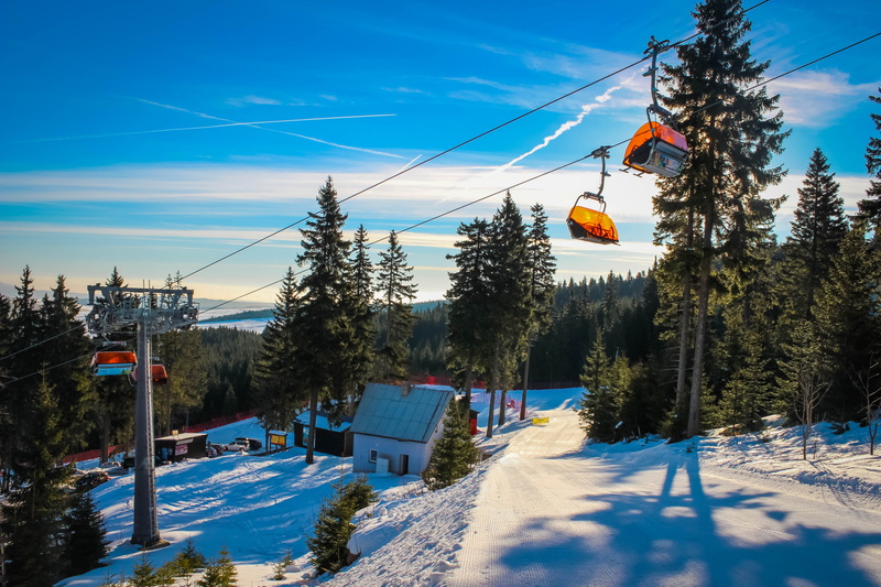 day, no people, nature, cable, winter, covering, electricity, land, sunlight, mountain, one man only, outdoors, growth, ski, tree, plant, hanging, 5K