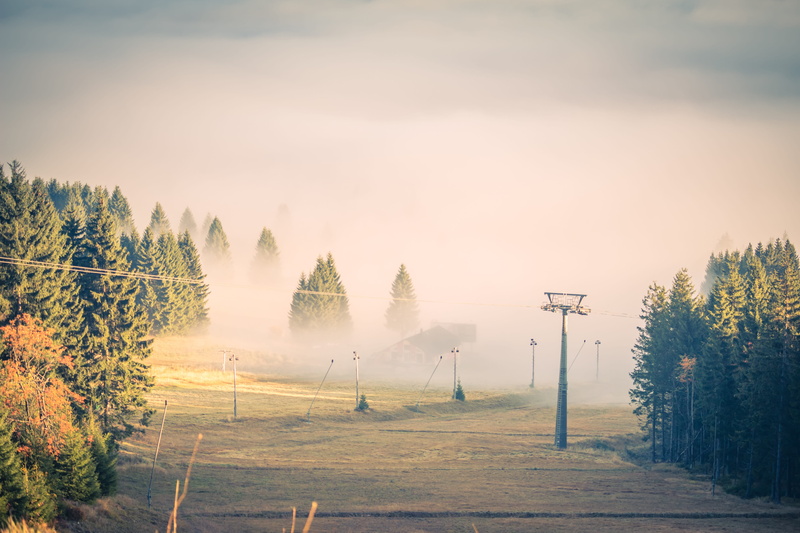 clouds, sun, no people, fog, plant, sunlight, field, scenics - nature, environment, trees, outdoors, land, autumn, sky, tranquil scene, tree, nature, sunrise - dawn