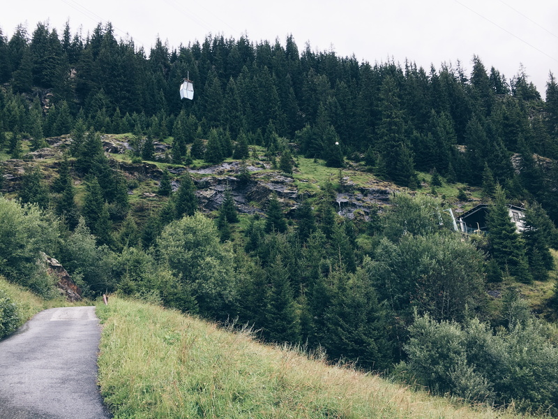 tranquility, lush foliage, 4K, road, transportation, grass, tree, coniferous tree, no people, growth, beauty in nature, scenics - nature, plant, non-urban scene