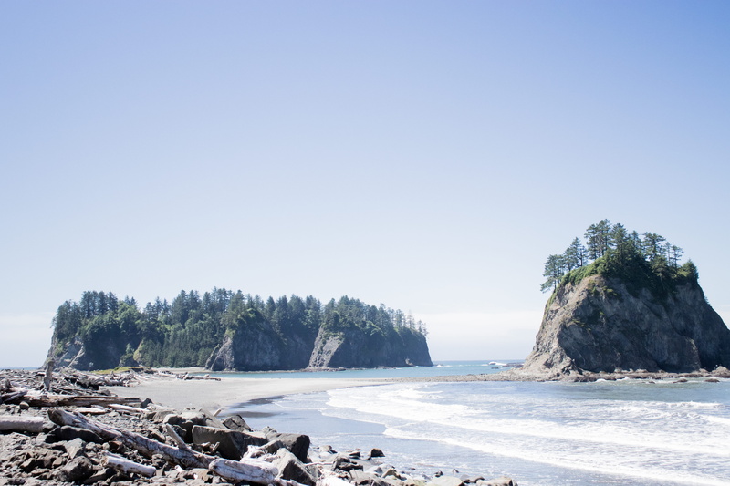 wood, outdoors, blue, photography, plant, 5K, clear sky, rialto, beauty in nature, islands, pacific, solid, copy space, washington, united states, land