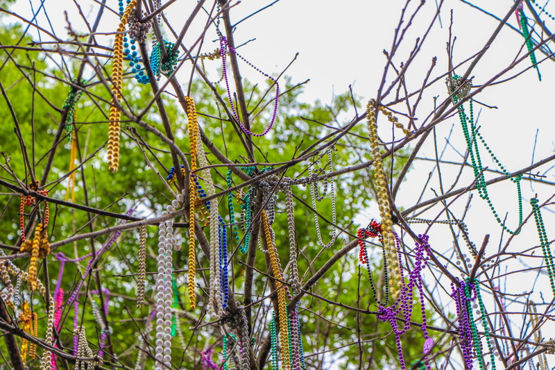 bare tree, tree, growth, new orleans, focus on foreground, assorted, close-up, hanging, louisiana, 5K, bead, nature, color, springtime, beauty in nature