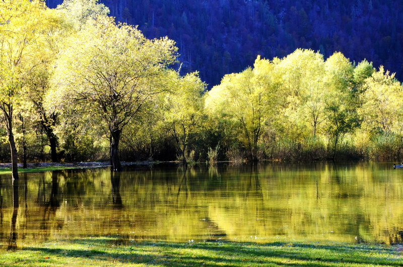 reflection lake, reflection, nature, scenics - nature, outdoors, tranquility, plant, trees, lake, lakes fusine, idyllic, reflections, riva, colors, tree
