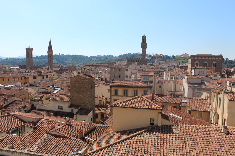 religion, town, firenze, nature, high angle view, old, renaissance, city, place of worship, travel, spire, building, florence, sky, tuscany, townscape