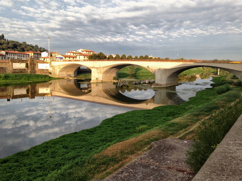river, arch, day, arno, bridge - man made structure, plant, reflection, no people, water, florence, outdoors, transportation, landscape, florenxe, connection