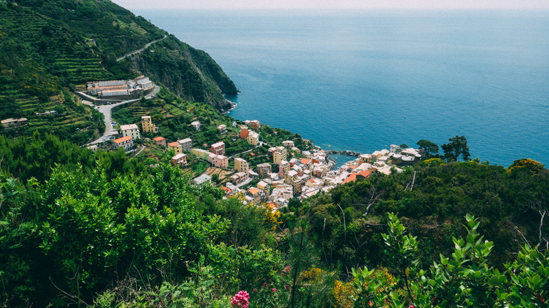 cinque terra, nature, sea, plant, horizon over water, residential district, tree, high angle view, growth, water, green color, roof, riomaggiore, day, beauty in nature