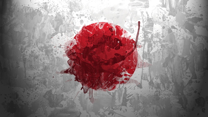 cup, flag, 2014 world cup, world cup, 1080P, japanese flag, world, japanese