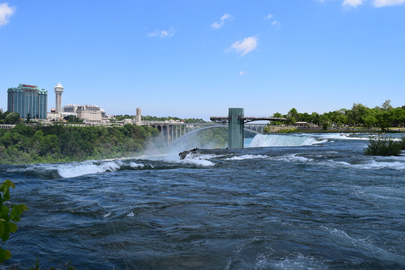beauty in nature, tree, day, city, clear sky, waterfront, outdoors, Niagara Falls State Park, no people, wave, park, american, power in nature, flowing