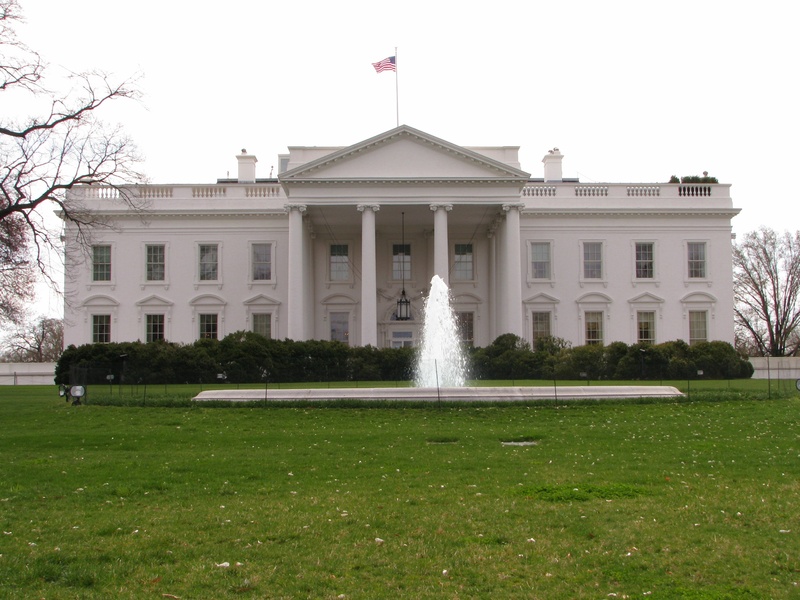 columns, facade, historic, dc, history, politics, portico, patriotism, nature, 2K, president, spraying, washington, white, tree, travel destinations, govenrment