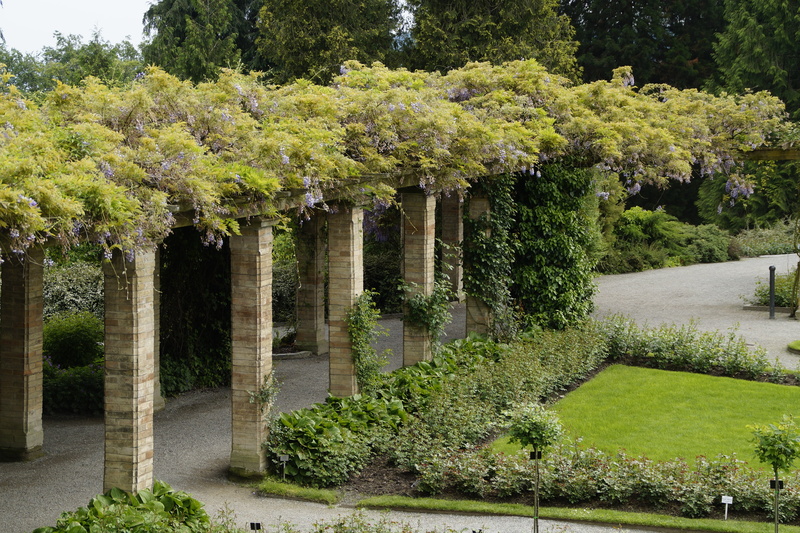 outdoors, applied, schlossgarten, change, grass, hedge, wisteria, 5K, park - man made space, land, architecture, sunlight, tree, tranquility, nature, no people