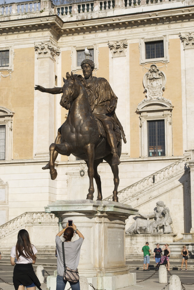 seagull, representation, romano, travel destinations, sculpture, horse, city, romans, outdoors, rome, male likeness, capitol, travel, 4K, center, caesar
