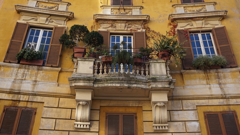 no people, 4K, low angle view, old, history, oppian hill, day, potted plant, plant, outdoors, building Exterior, house, the past, city, nature, art and craft