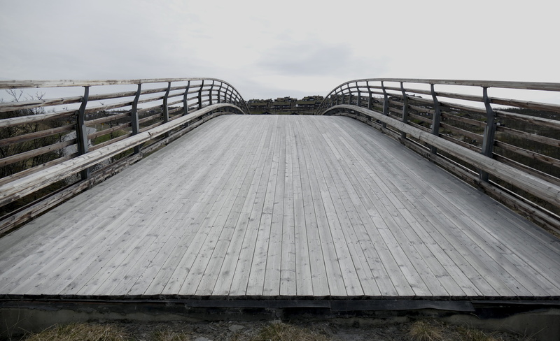 street, bridge - man made structure, architecture, diminishing perspective, connection, transportation, material, natural, wood - material, nature, path