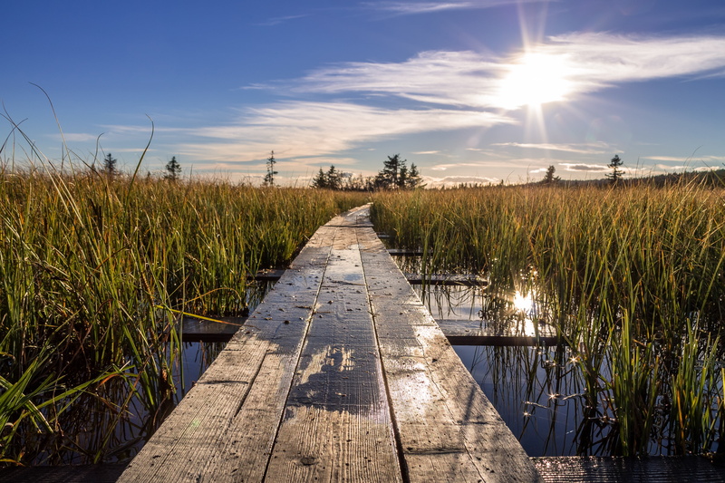 reflection, dock, wandering, summer, wide, destination, field, sky, mountains, crossing, highlands, bridge, growth, outdoor, tranquility, daytime, passage