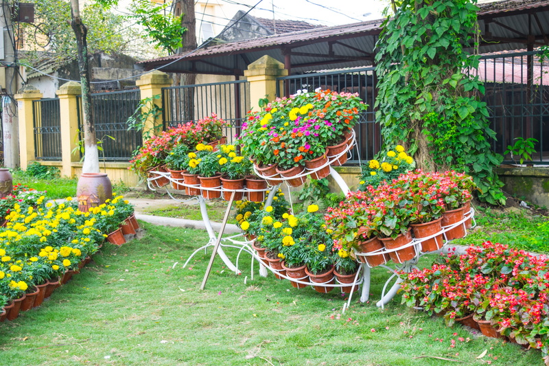 waterfront, freshness, crossing, garden, beauty in nature, architecture, potted plant, flower pot, rock, walk way, bloom, season, green color, nature, multicolored
