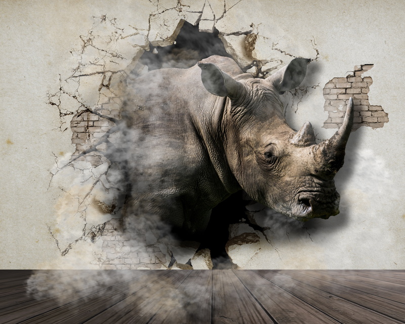 digital composite, animal themes, vertebrate, rhinoceros, art, wall, tree, animal, no people, day, one animal, animals in the wild, mammal, 5K, domestic animals