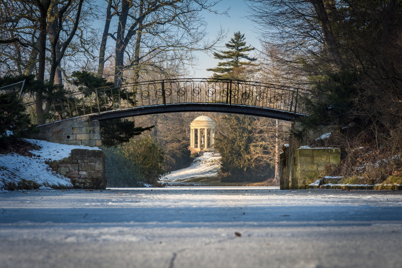 winter mood, venus, flowing, tree, reflection, concrete, channel, venus temple, frost, day, trees, park wörlitz, snow, road, architecture, outdoors, wintry