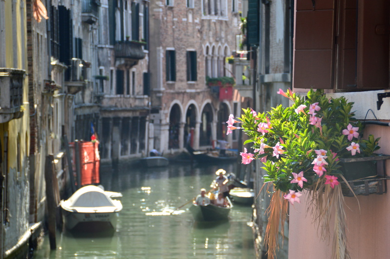 architecture, summer, nature, gondola - traditional boat, plant, venice, focus, gondola, rome, travel destinations, city, roman, flower, romantic, built structure