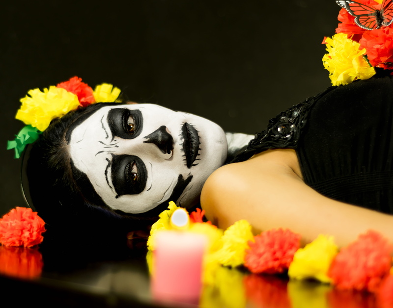 costume, make-up, women, gothic, beautiful woman, day of the dead, catrina, flowering plant, halloween, beauty in nature, selective focus, lying down, nature