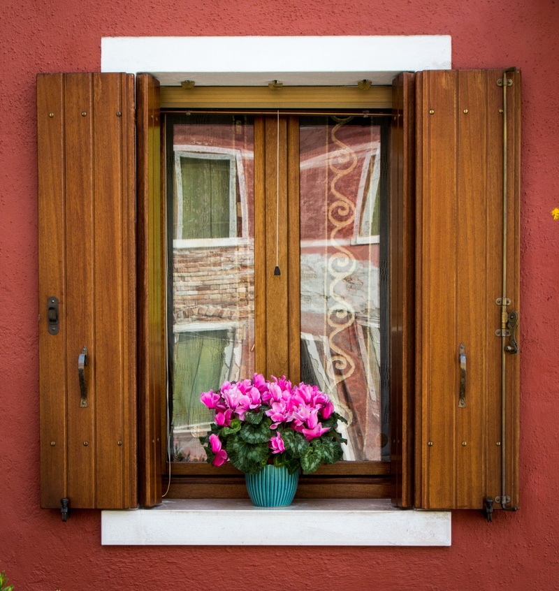 traditional, entrance, plant, flower pot, Italy, wood - material, building exterior, safety, 2K, day, door, Burano, wooden, flower arrangement, Building