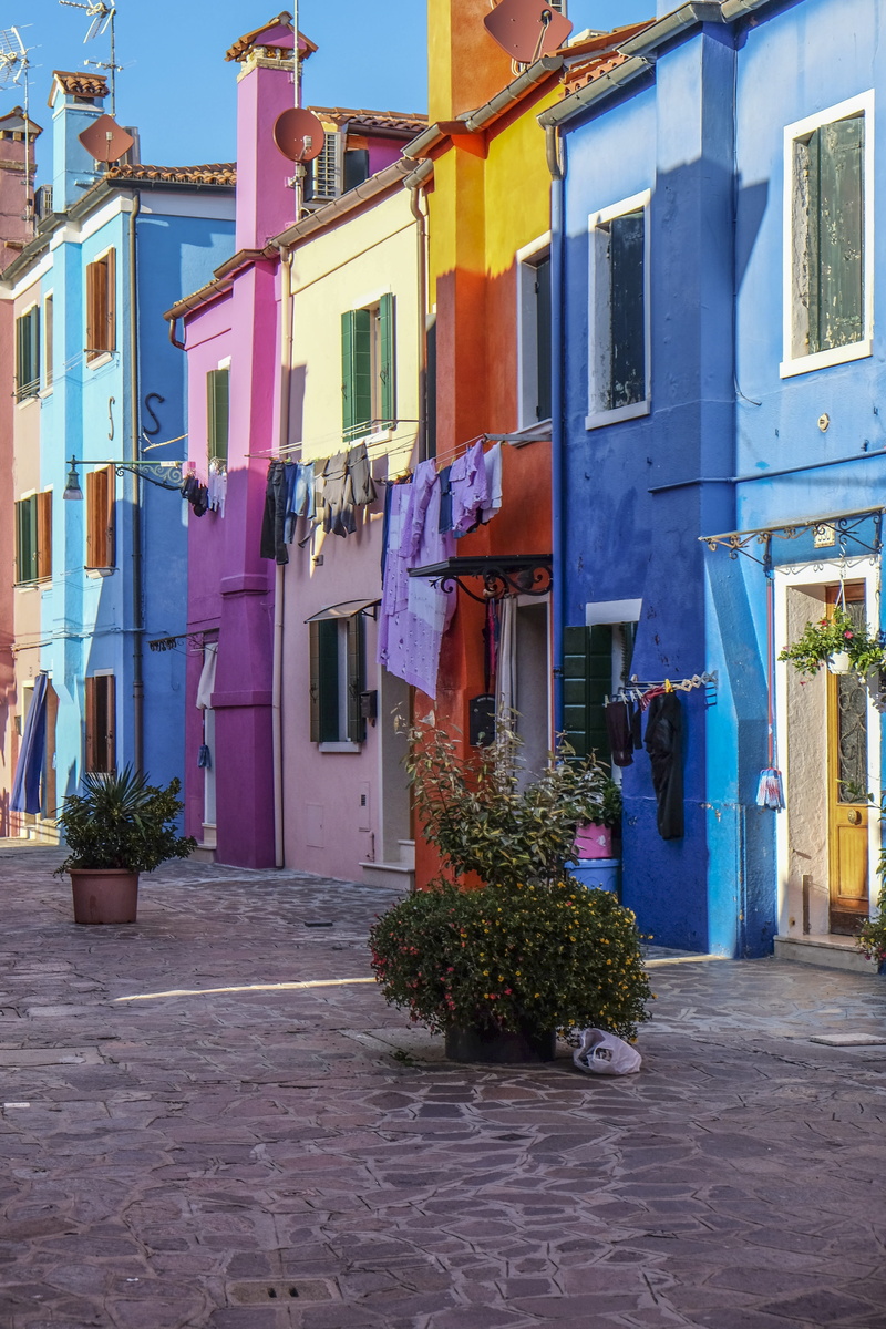 city, building, potted plant, plant, outdoors, building exterior, day, street, colored houses, nature, flower pot, village, no people, 4K, colorful, architecture