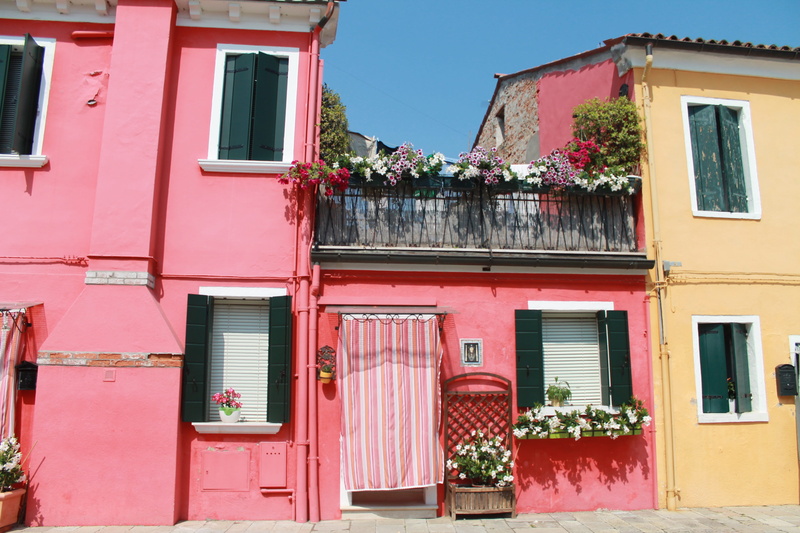 flower, day, shutters, facade, blue sky, pink color, plant, red, entrance, idyllic, city, colorful, residential district, 4K, built structure, architecture