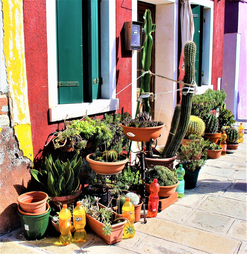 window, facade, flower pot, beauty in nature, colors, street view, island, flowering plant, architecture, decorations, burano, multi colored, old house