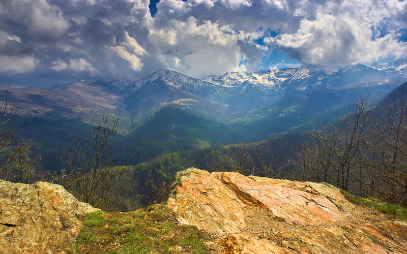 cottian, nature, piedmont, land, outdoors, solid, pine tree, tree, italy, beauty in nature, rock, mountain ridge, cuneo, province, non-urban scene, sky