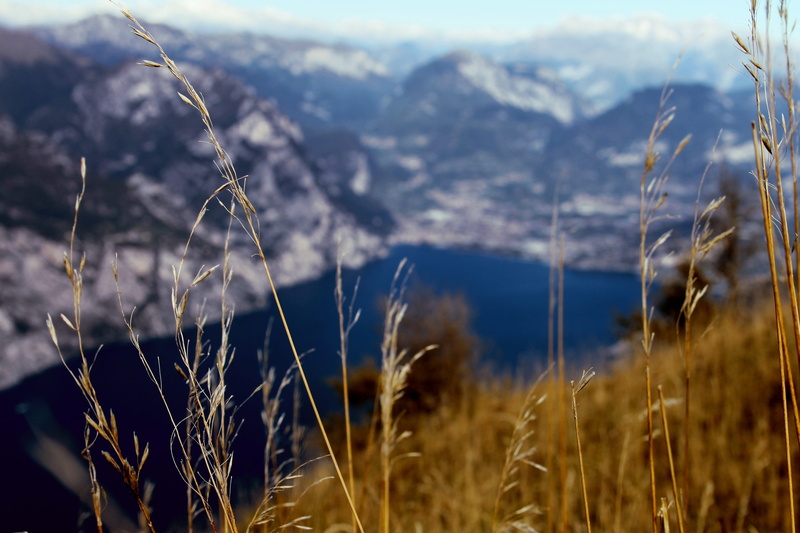 outdoors, monte baldo, environment, nature, scenics - nature, land, mountains, focus on foreground, experience, timothy grass, garda, höffmann reisen, view