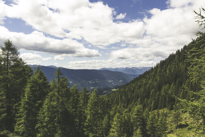 idyllic, italy, tranquility, pine woodland, dolomites, green color, nature park, rock, sky, hiking, environment, more, mountain, outdoors, plant, beauty in nature