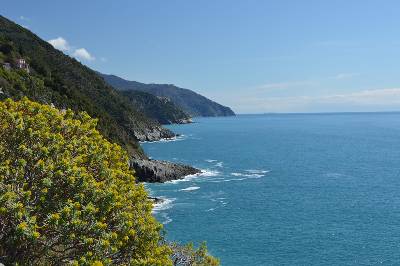 mediterranean, beauty in nature, liguria, 5K, day, tranquil scene, tree, sea, water, riviera, land, growth, scenics - nature, north italy, vacations, beach