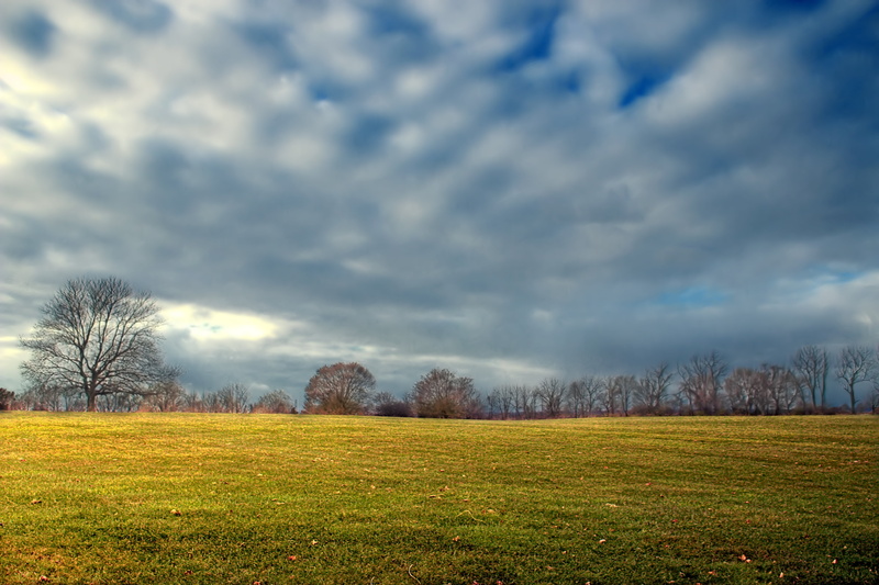 bare, autumn, Louise, tree, Field, outdoors, grass, Pennsylvania, bare trees, clouds, stratocumulus, 5K, weather, scenics, County Park, Northampton County