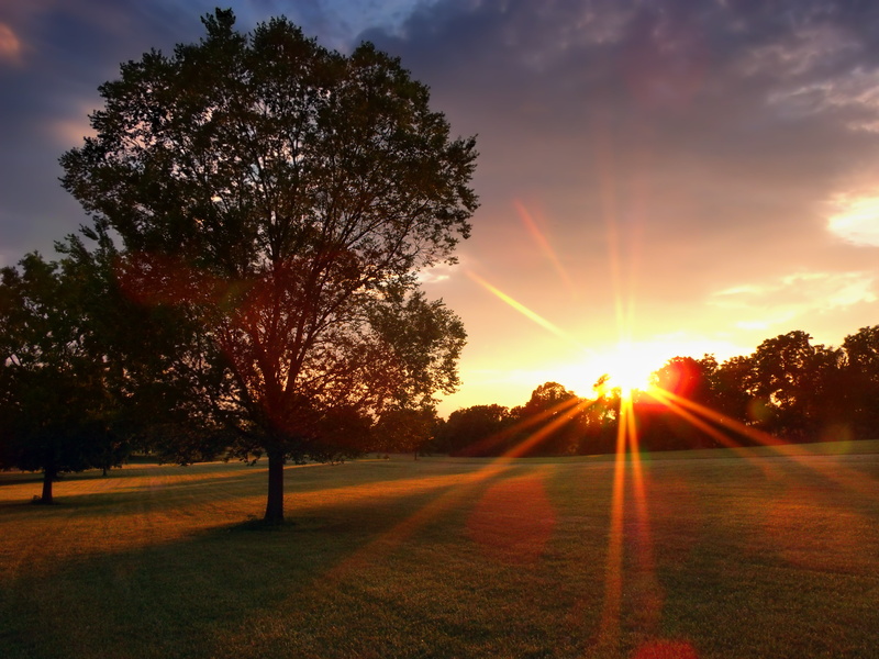 tree, trees, Pennsylvania, Moore Park, sky, rural Scene, County Park, Louise, dusk, 4K, clouds, Lehigh Valley, summer, Optical Effects, landscape, sunset