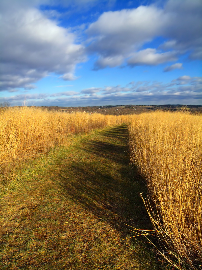 Trail, stratocumulus, agriculture, landscape, outdoors, low light, sky, Northampton County, Jacobsburg State Park, Homestead, clouds, rice, Jacobsburg Environmental Education Center
