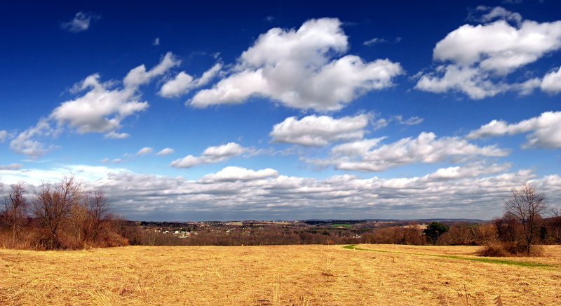 tree, rural Scene, nature, cloud - Sky, autumn, cumulus, Northampton County, season, brown field, outdoors, daytime, cloudy, Lehigh Valley, 5K, brown
