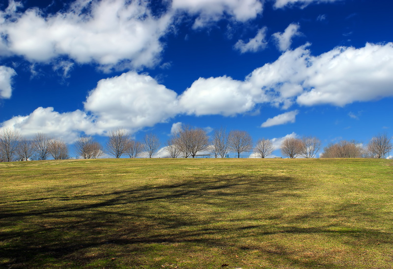 trees, tree, scenics, Pennsylvania, Recreation, green Color, summer, landscape, leafless, Perimeter, creative commons, clouds, outdoors, grass, spring