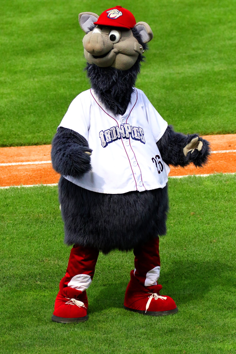 allentown, real people, grass, unrecognizable person, representation, mammal, game, pennsylvania, baseball, stadium, sport, obscured face, full length