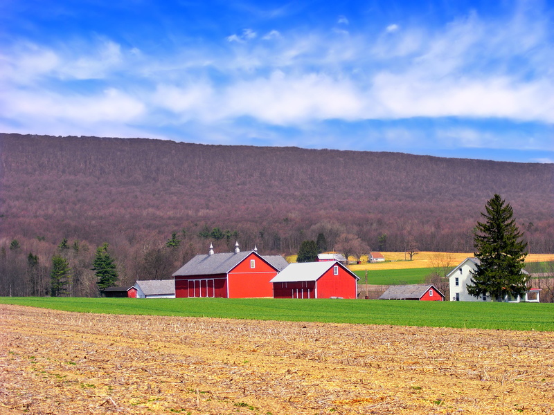 Pennsylvania, wooden, 2K, red, Appalachian Mountains, Slope, nature, farm, Kittatinny Mountain, Lehigh Valley, rural Scene, creative commons, spring, Lehigh County