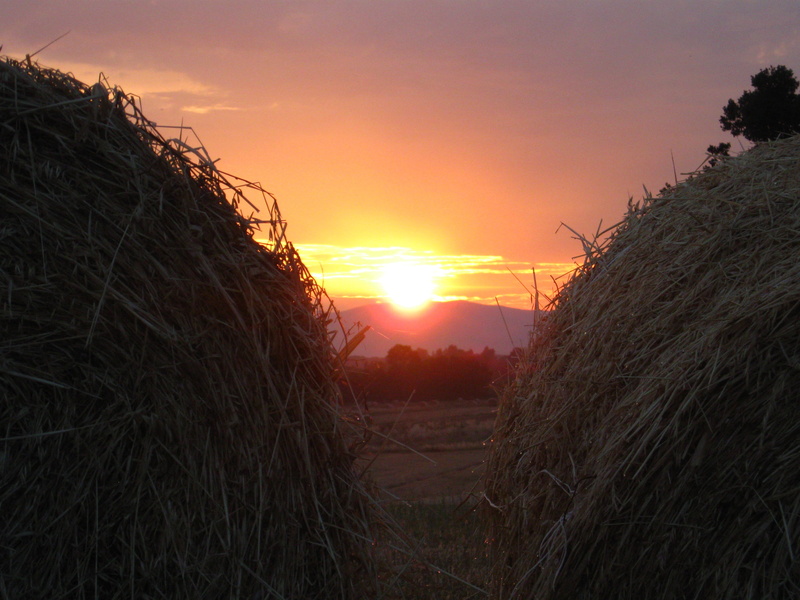 tranquility, lens flare, outdoors, tranquil scene, hay, sun, farm, agriculture, no people, orange color, cloud - sky, sunlight, land, water drop, bright