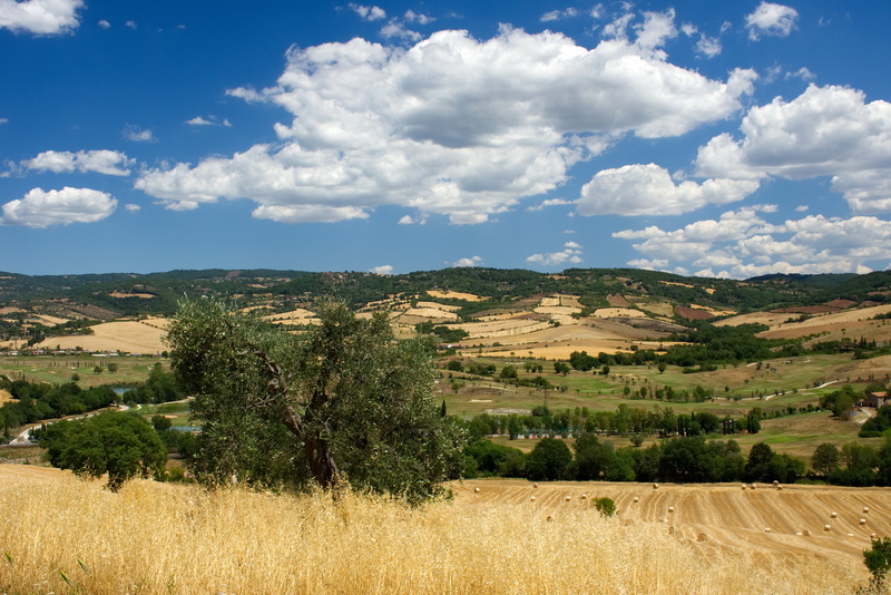 tuscany, field, color, natural, blue, horizon, environmental, summer, maremma, day, saturnia, italy, cloud - sky, landscape, clouds, tranquil scene, growth