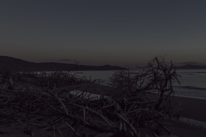 no people, outdoors, land, clear sky, italia, tree, toskana, toscana, sundown, sky, scenics - nature, water, copy space, maremma, evening, plant, italien