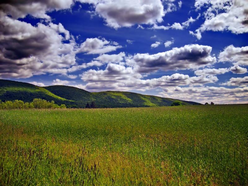 Appalachian Mountains, clouds, tree, land, meadow, nature, Poconos, agriculture, spring, blue, outdoors, plant, landscaped, Kittatinny Mountain, farm, stratocumulus